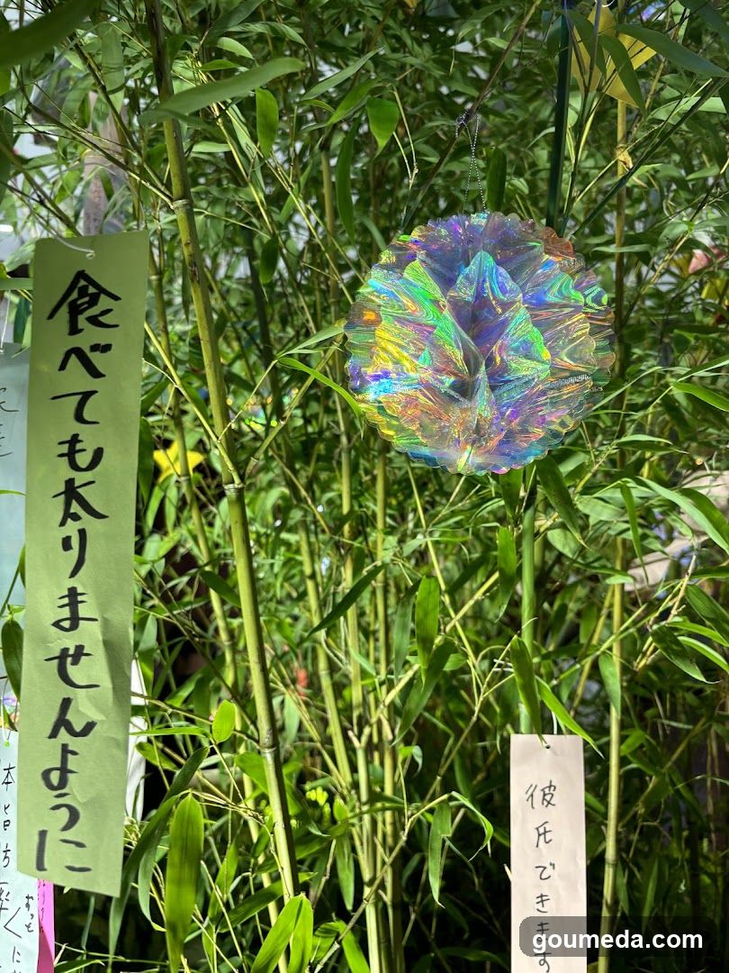 フコク生命（いのち）の森