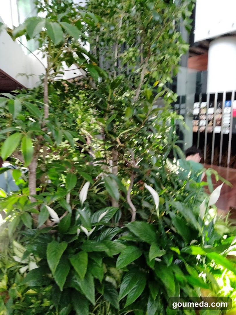 フコク生命（いのち）の森