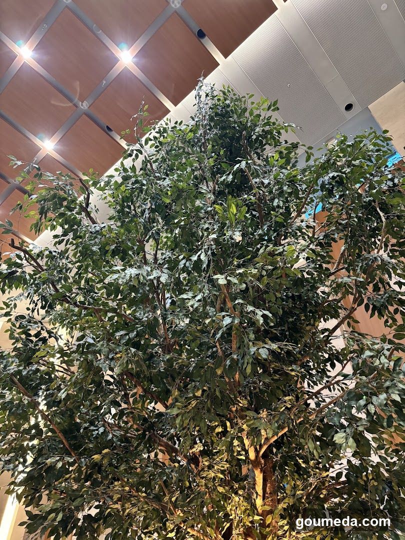 ロビー喫茶サリダ
