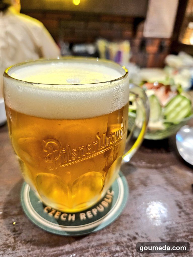 ワイン酒場 すぱいす・かりー Shioya