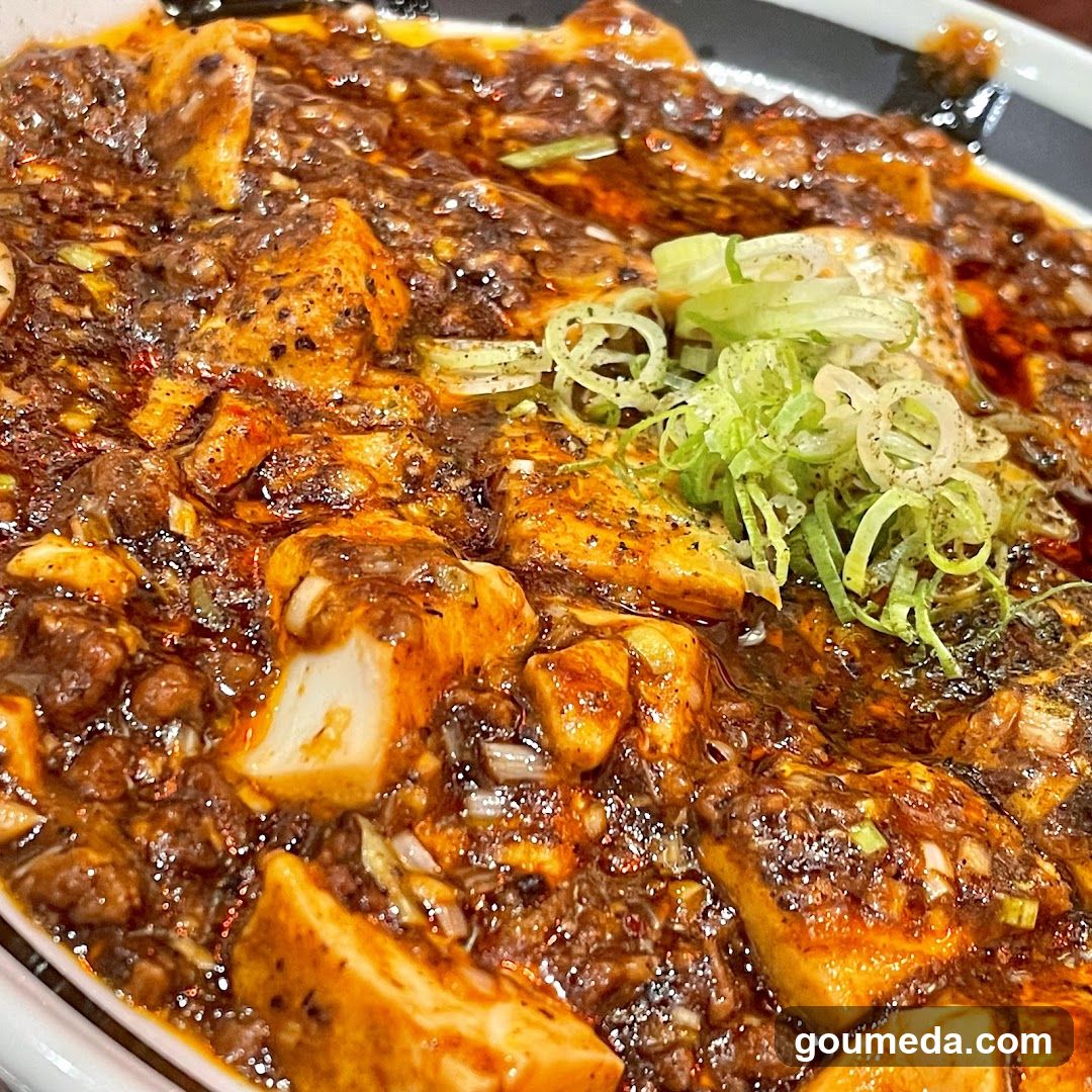華中華 小厨