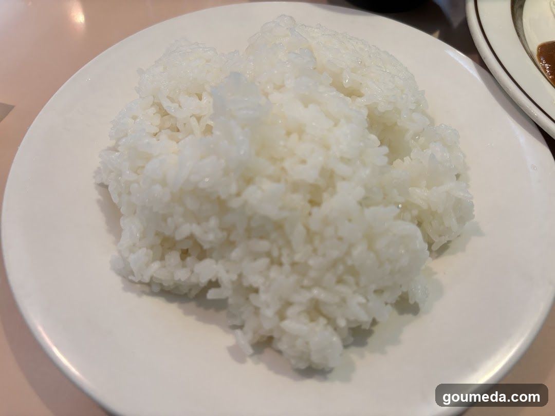 Osaka-grill
