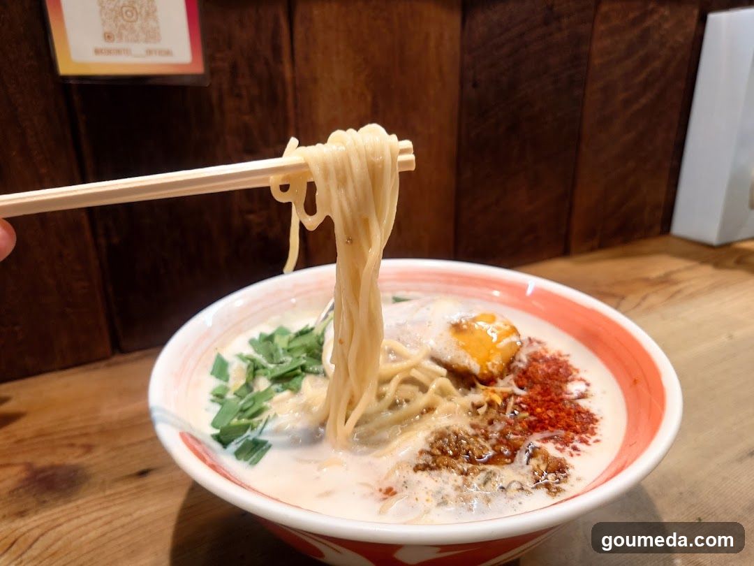 Ramen Tsukesoba Kokontei
