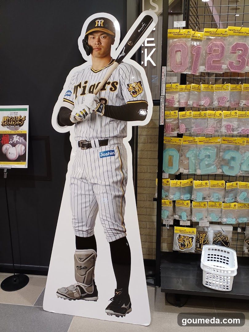 Baseball Player Cutout Display