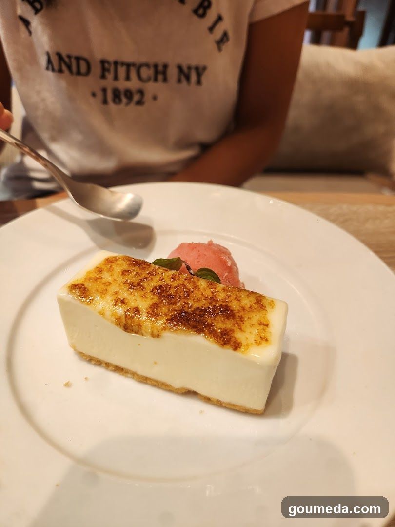 Baked Cheesecake Dessert
