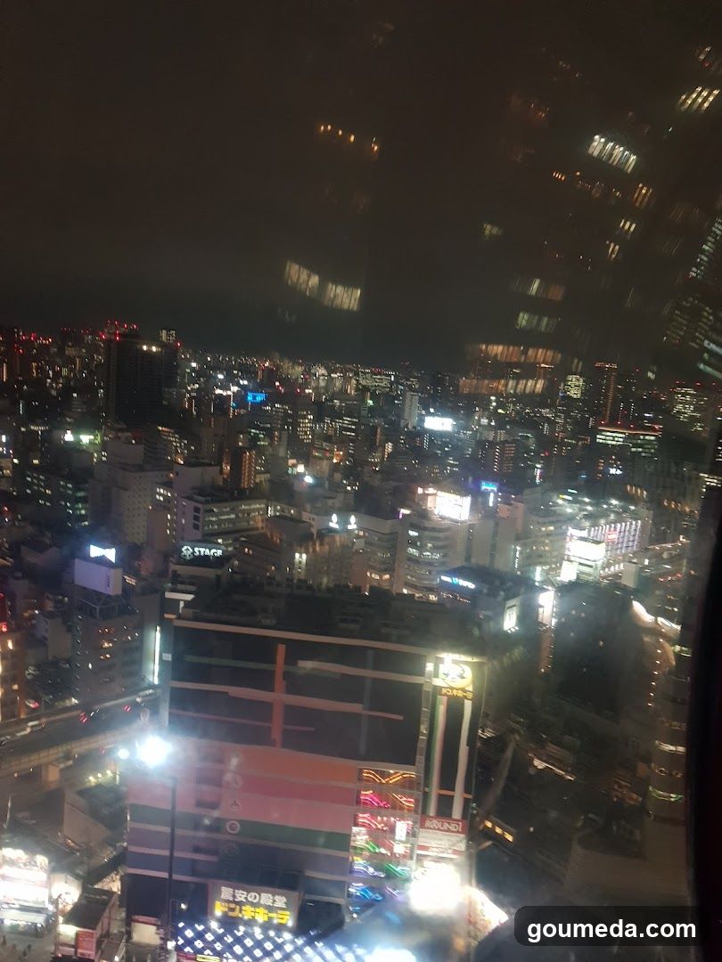Night Cityscape View from High Building