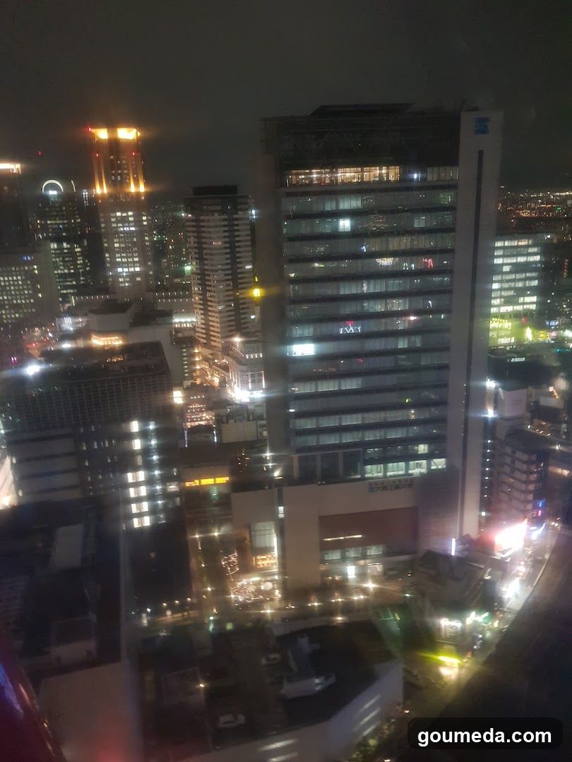 Night Cityscape View