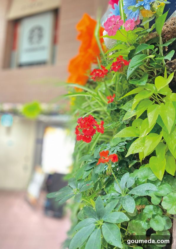 Vertical Garden with Red and Orange Flowers