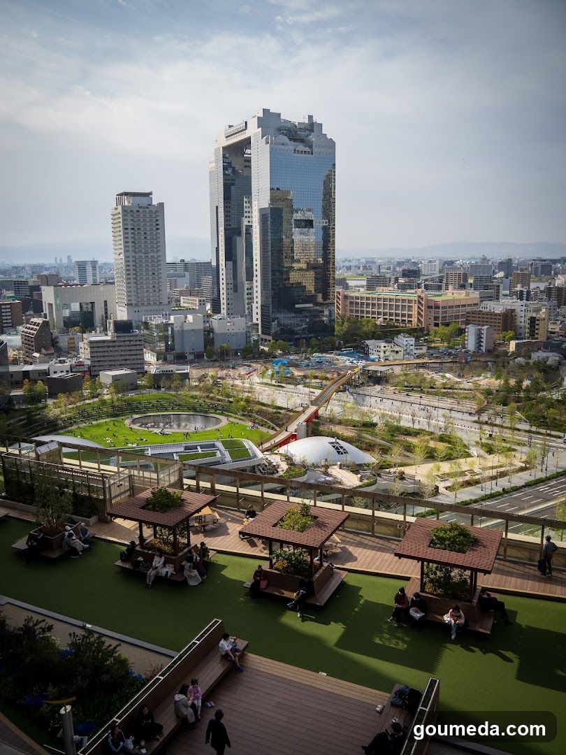 City Rooftop View with Park and Buildings