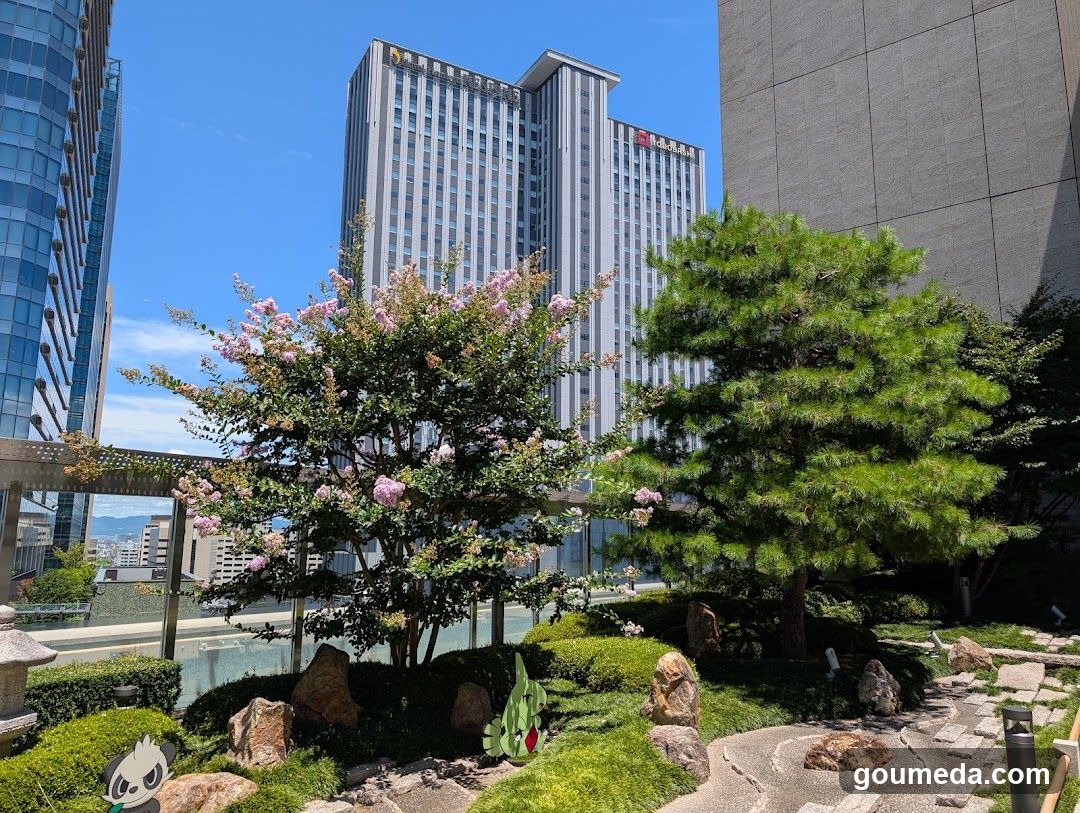 Urban Garden with Pink Crepe Myrtle and Pine Trees