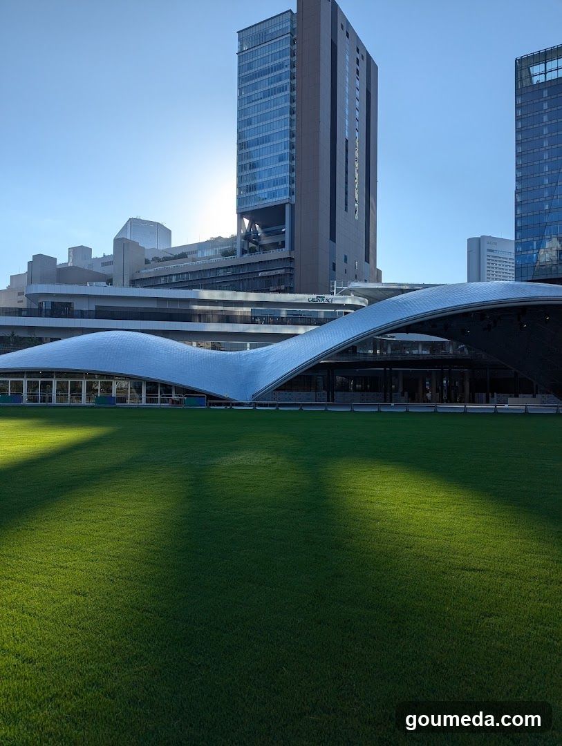 Modern Cityscape with Green Lawn