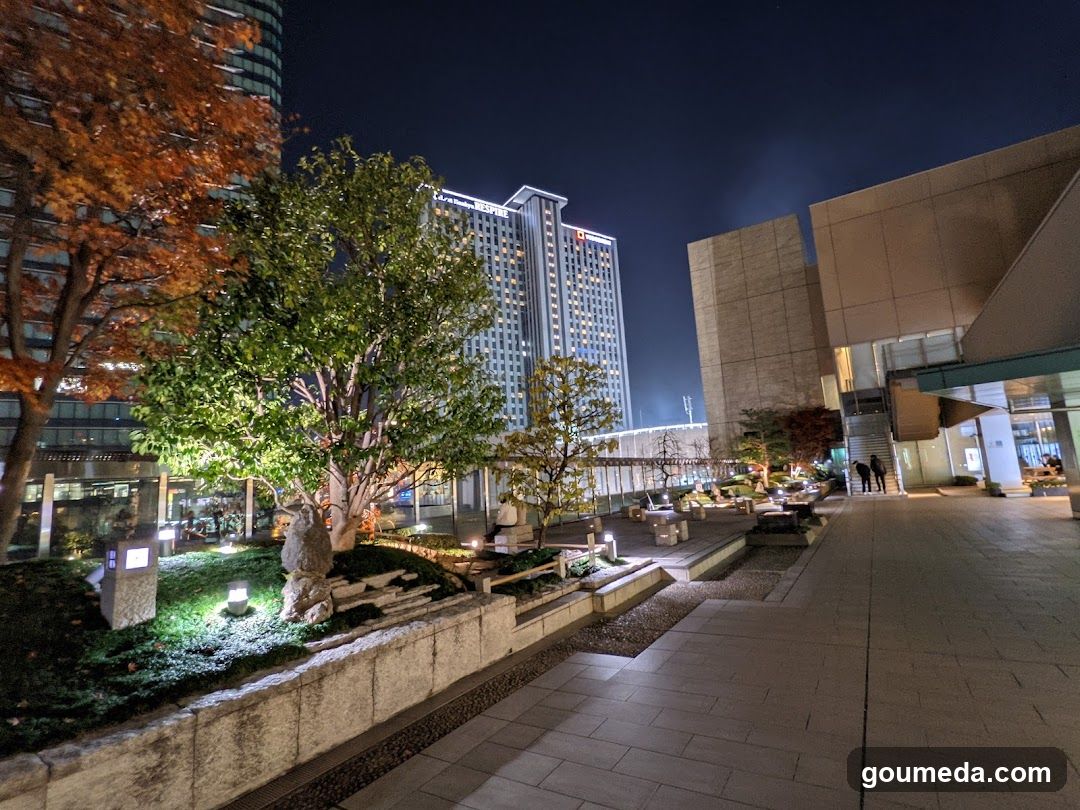 Night City Scene with Illuminated Trees and Buildings