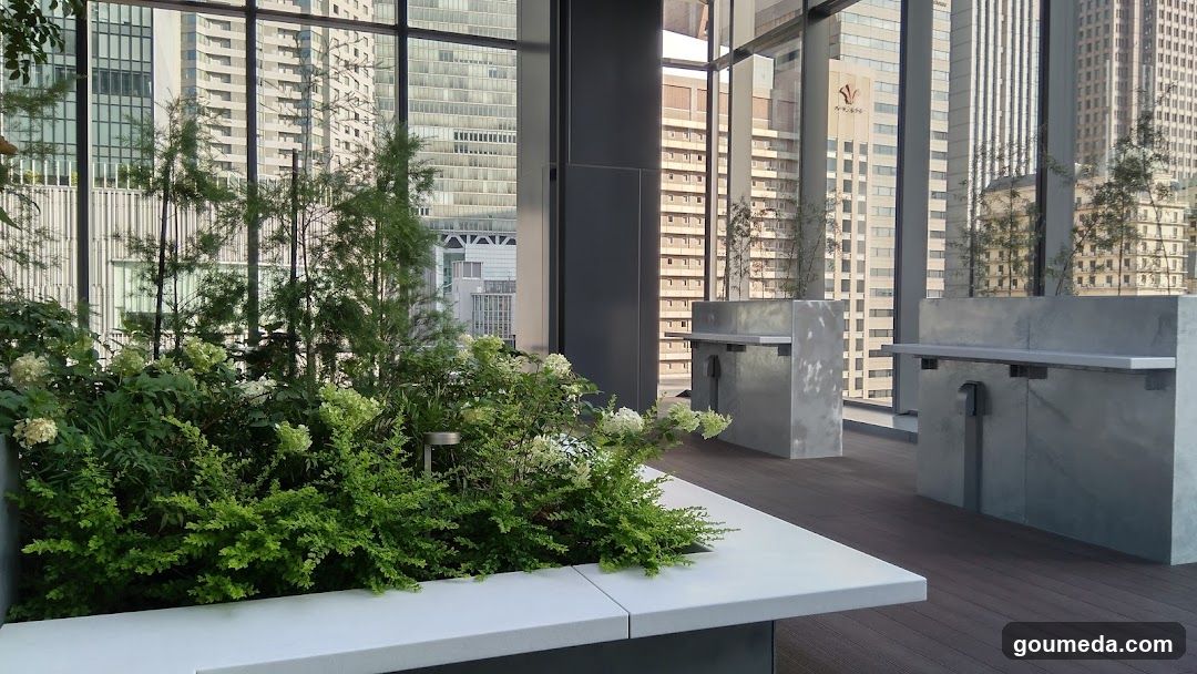 Urban Rooftop Garden