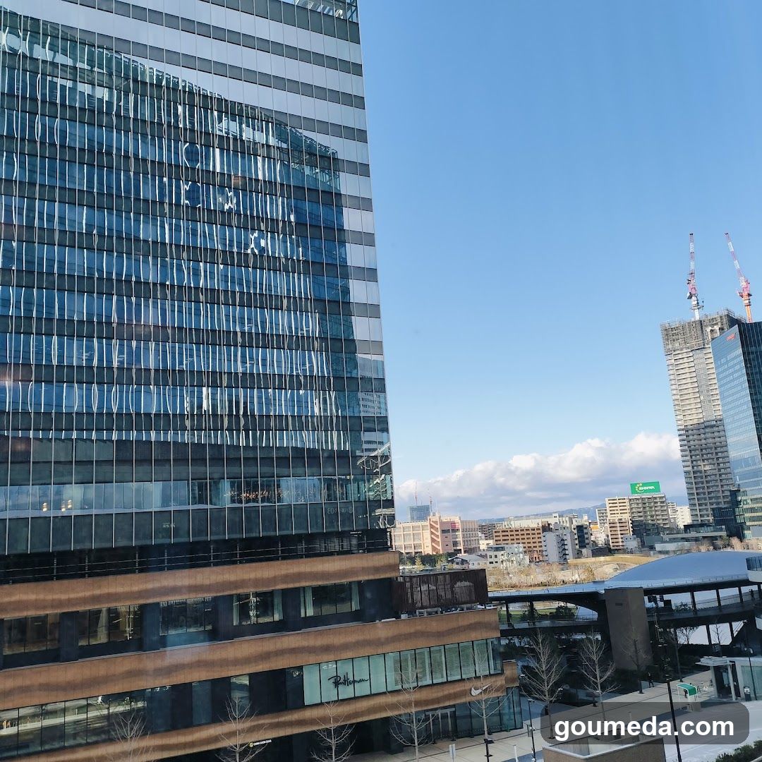 Cityscape with modern buildings and construction cranes