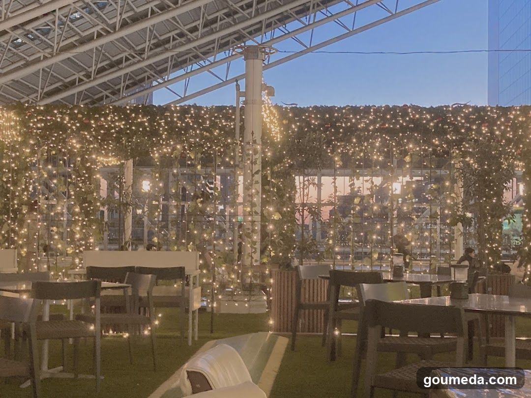 Outdoor Dining Area with String Lights