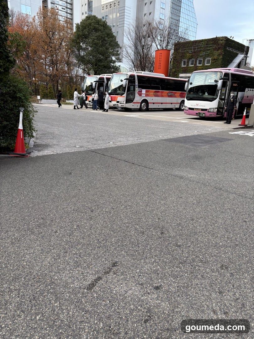 Buses at a terminal or station