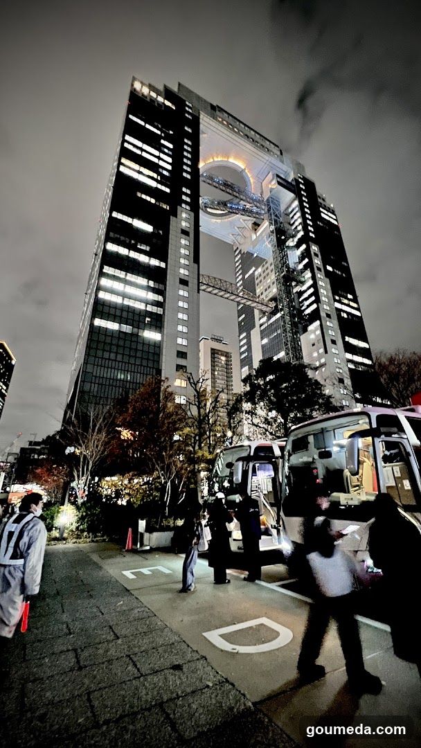 Night scene with tall building and buses