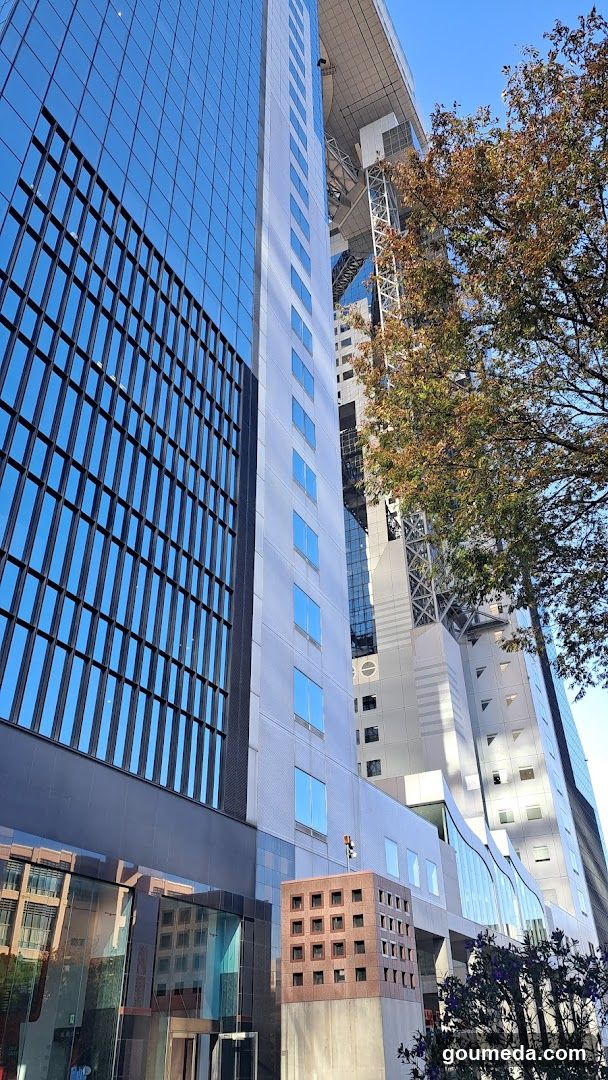 Modern City Buildings