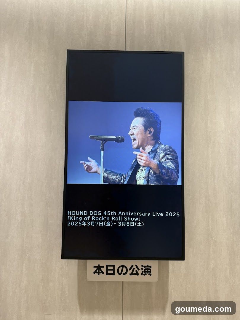 HOUND DOG 45th Anniversary Live 2025