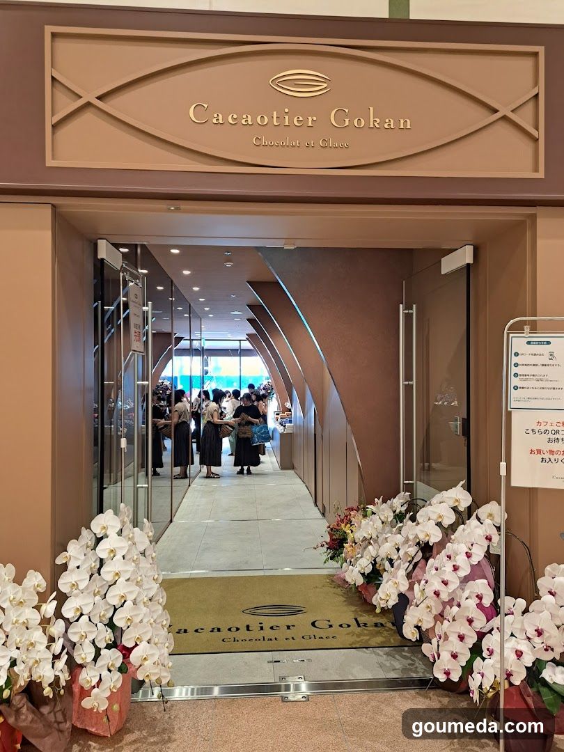 CacaoTier Gokan Entrance