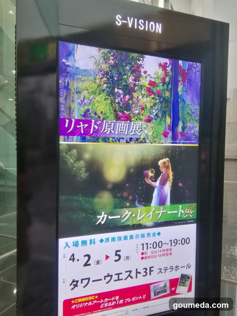S-Vision Digital Display