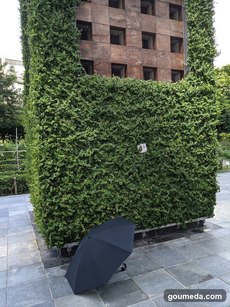 Green Wall with Umbrella