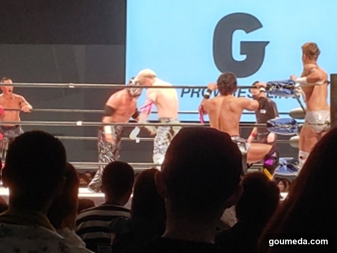 Wrestling Match Scene