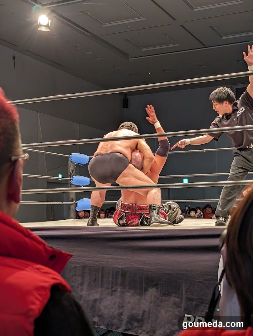 Wrestling Match in Ring