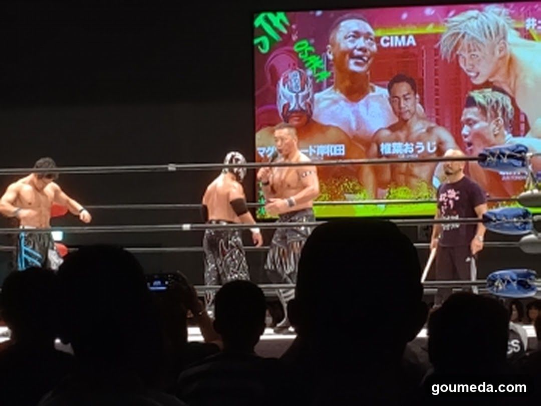 Wrestling Event Scene