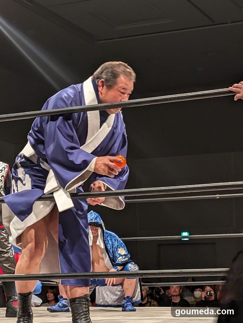 Wrestler in Ring