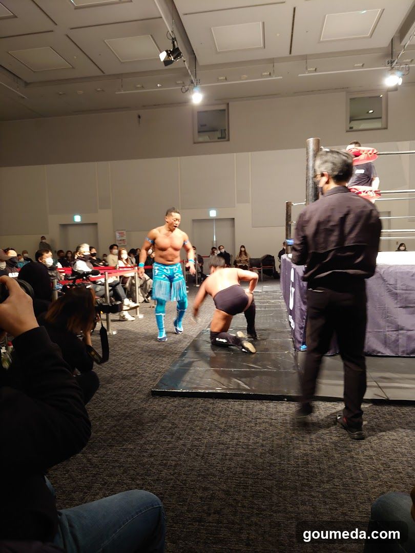 Sumo Wrestling Match