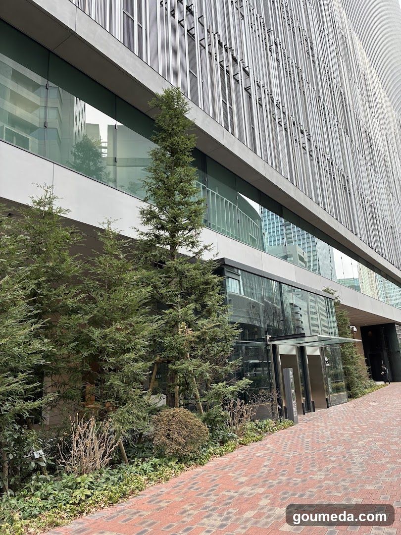 Modern Building Entrance with Landscaping