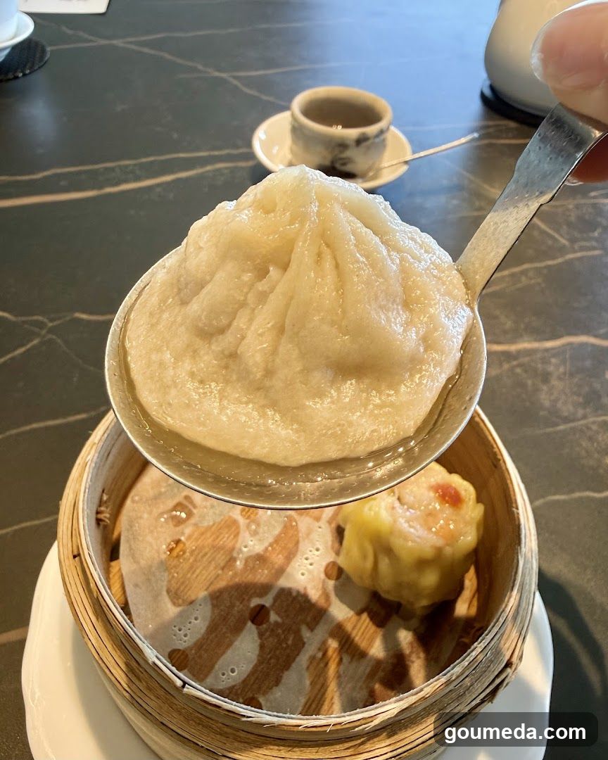 Dim Sum with Dumpling on Spoon