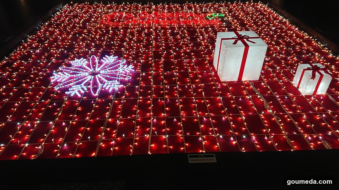 Christmas Light Display