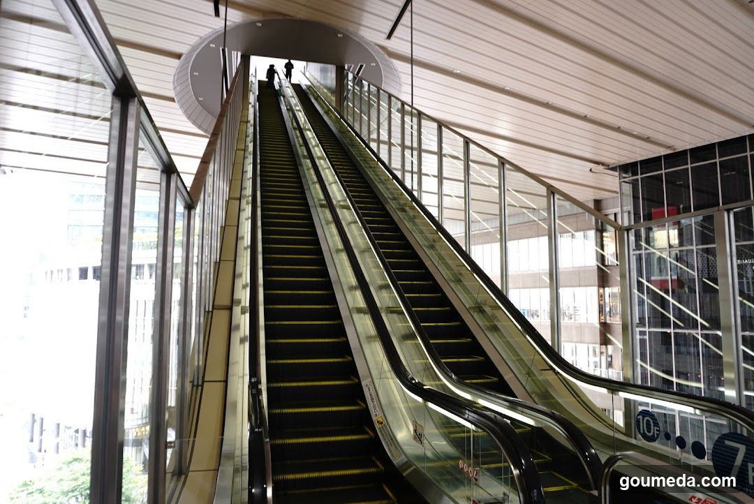 Elevated Escalator in Modern Building
