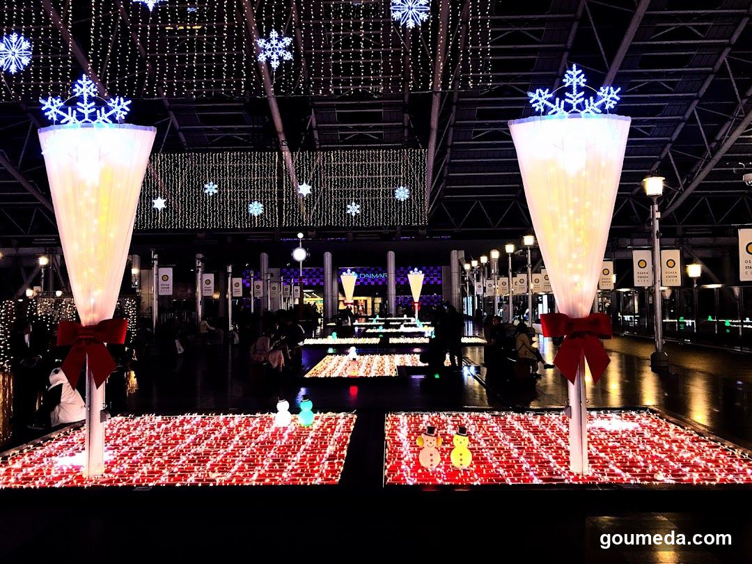 Christmas Light Display