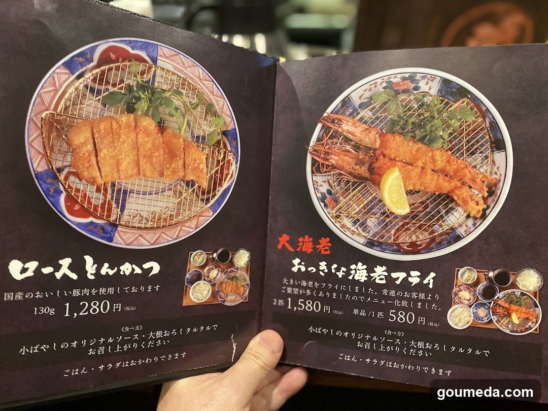 Japanese Menu Page with Fried Foods