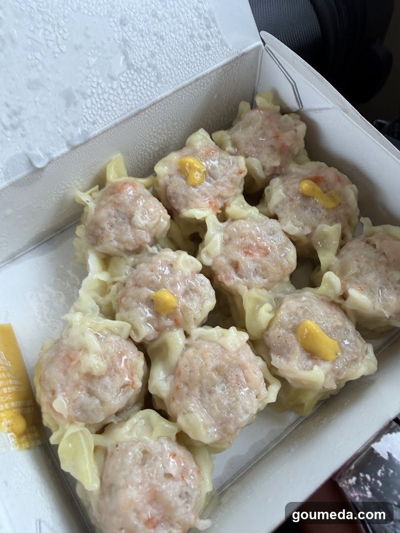 Steamed Dumplings in Takeout Box