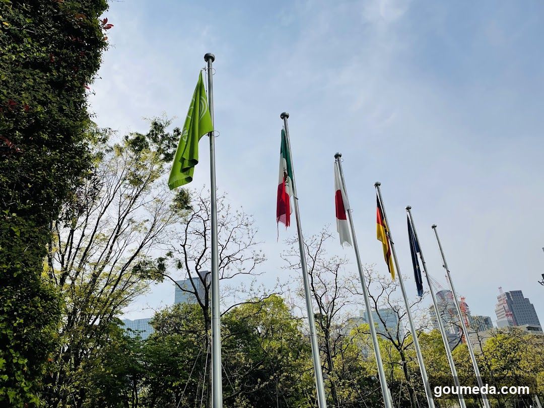 Flags in a park with city skyline