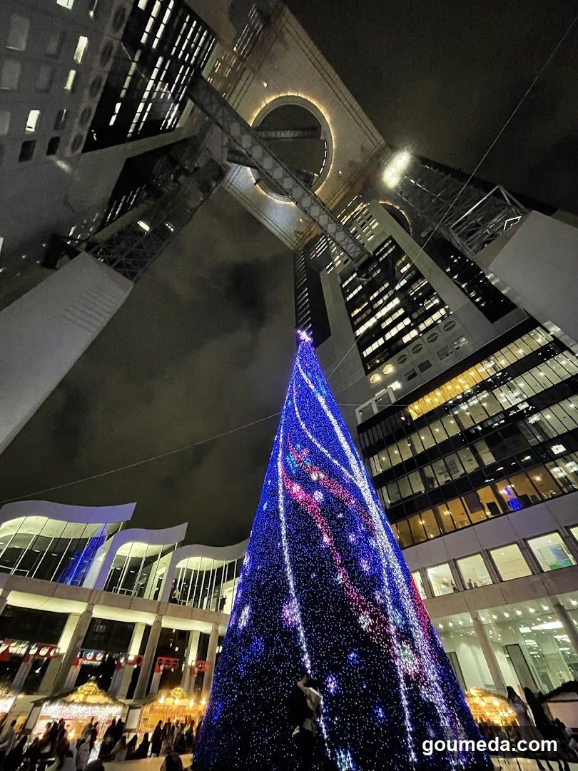 Christmas Tree at Night