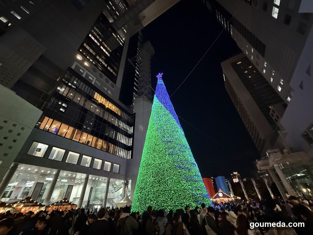 Christmas Tree at Night