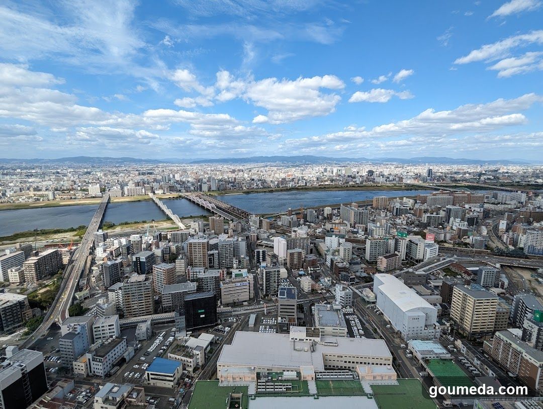 Cityscape with River and Bridges