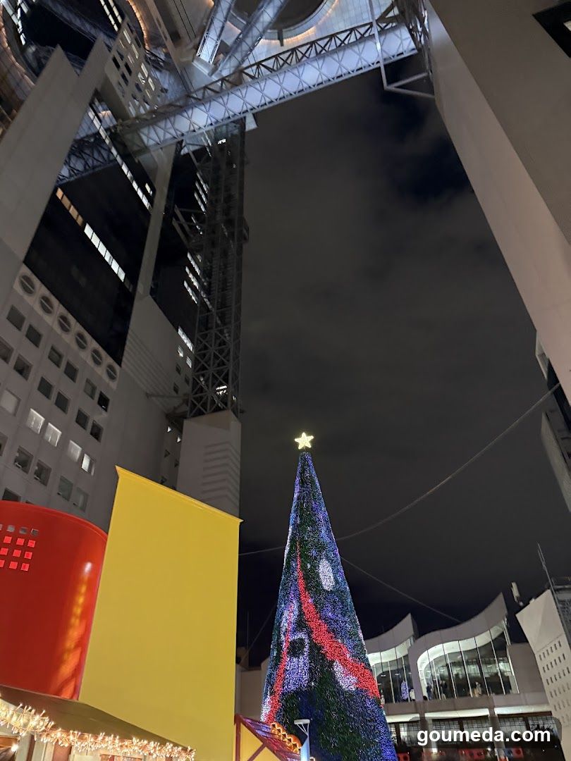 Christmas Tree at Night
