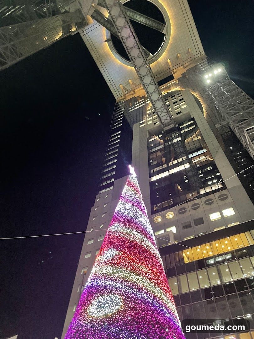 Christmas Tree at Night