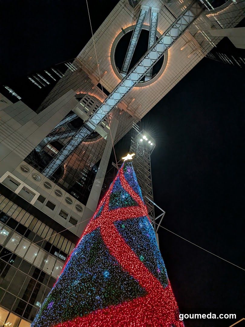Christmas Tree at Night