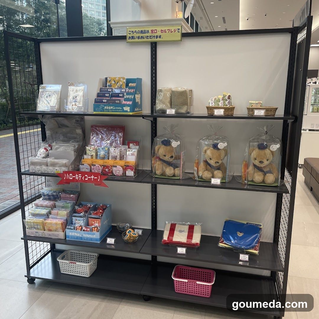 Merchandise Display Shelf