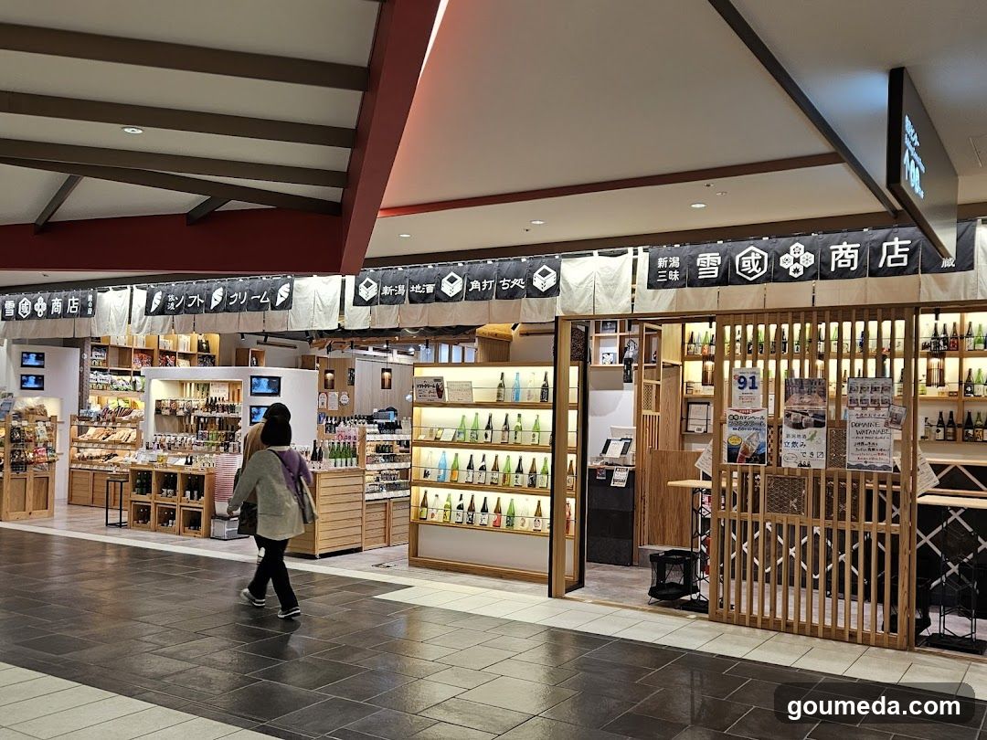 Snow Country Store Interior