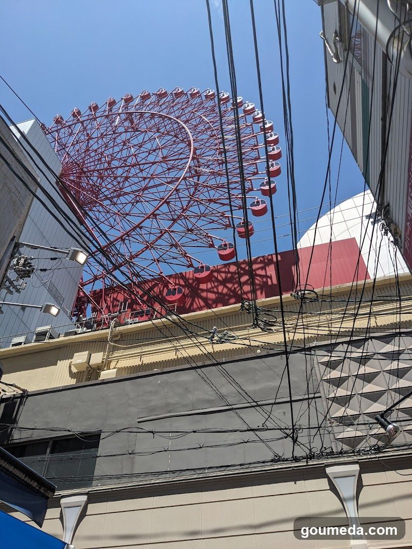 Ferris Wheel View from Street Level