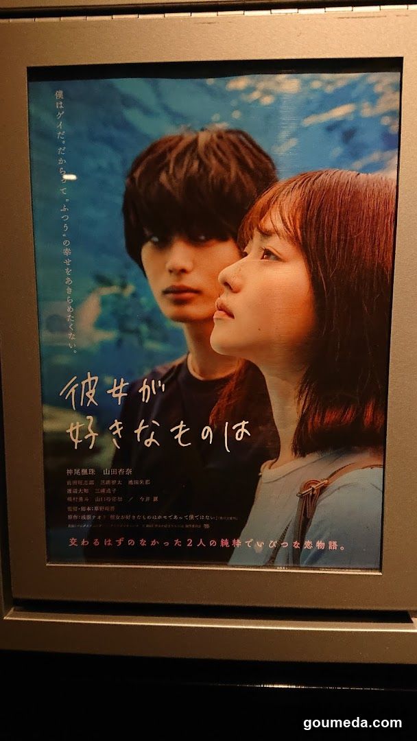 Movie Poster Display