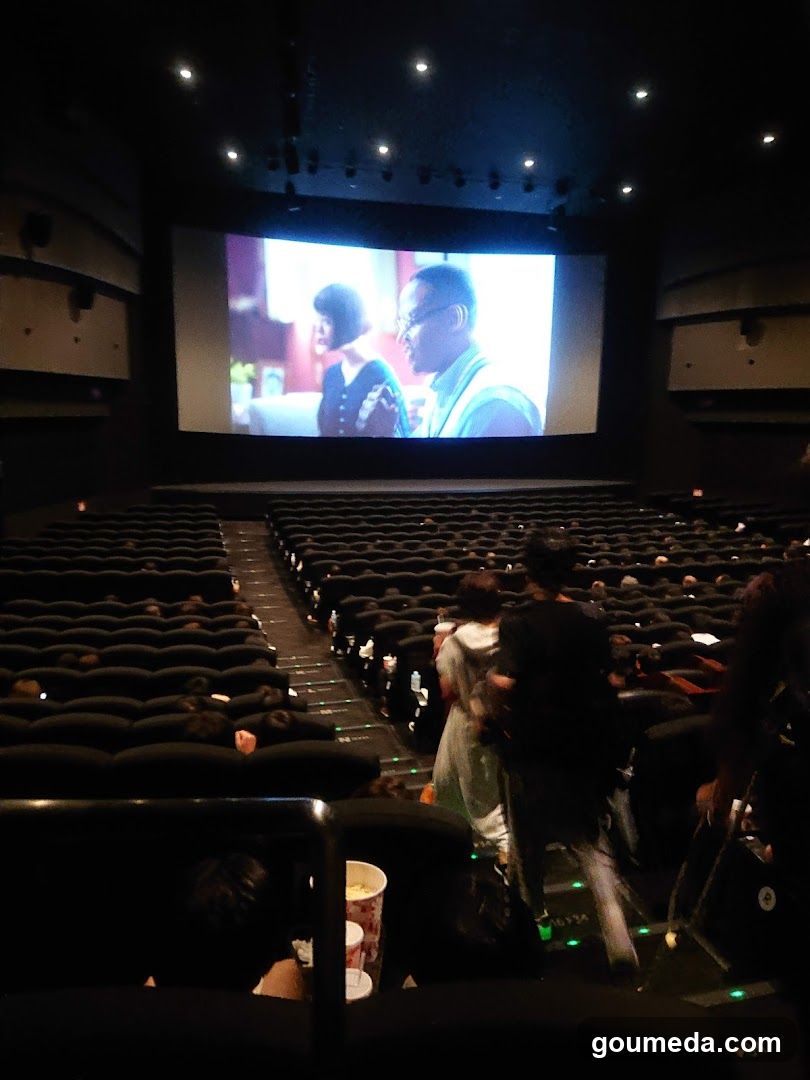 Movie Theater Interior